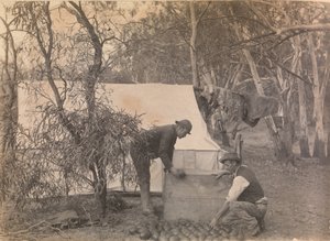 Camp d